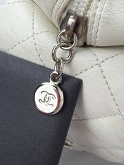Chanel Cambon Large Python Reporter Bag